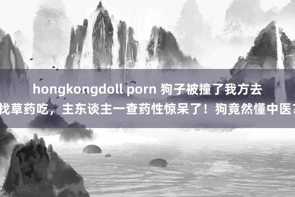 hongkongdoll porn 狗子被撞了我方去找草药吃，主东谈主一查药性惊呆了！狗竟然懂中医？