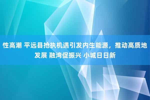 性高潮 平远县抢执机遇引发内生能源，推动高质地发展 融湾促振兴 小城日日新