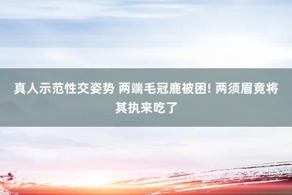 真人示范性交姿势 两端毛冠鹿被困! 两须眉竟将其执来吃了