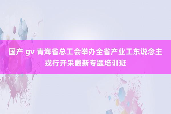 国产 gv 青海省总工会举办全省产业工东说念主戎行开采翻新专题培训班