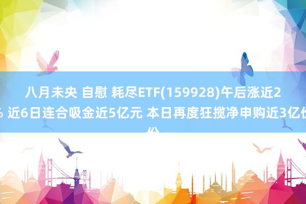 八月未央 自慰 耗尽ETF(159928)午后涨近2% 近6日连合吸金近5亿元 本日再度狂揽净申购近3亿份