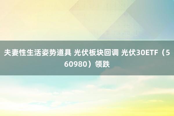 夫妻性生活姿势道具 光伏板块回调 光伏30ETF（560980）领跌