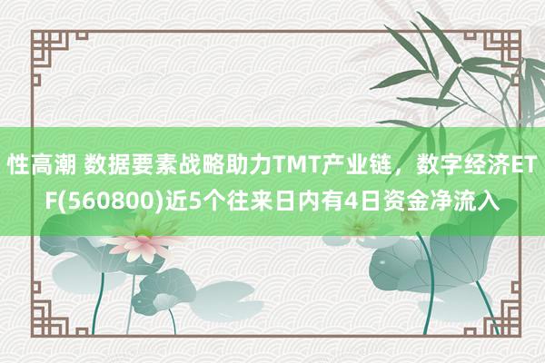 性高潮 数据要素战略助力TMT产业链，数字经济ETF(560800)近5个往来日内有4日资金净流入