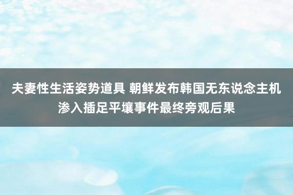 夫妻性生活姿势道具 朝鲜发布韩国无东说念主机渗入插足平壤事件最终旁观后果