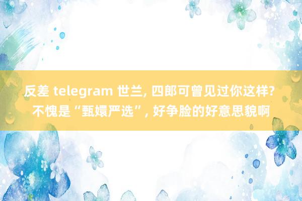 反差 telegram 世兰， 四郎可曾见过你这样? 不愧是“甄嬛严选”， 好争脸的好意思貌啊