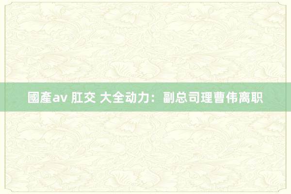 國產av 肛交 大全动力：副总司理曹伟离职