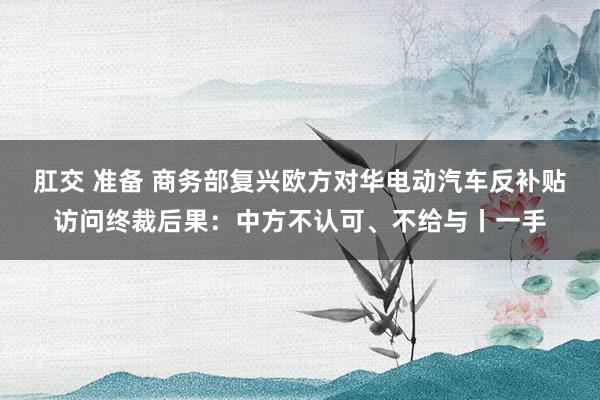 肛交 准备 商务部复兴欧方对华电动汽车反补贴访问终裁后果：中方不认可、不给与丨一手