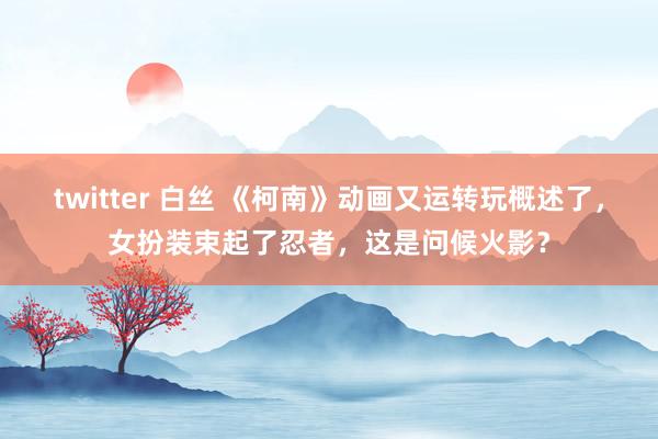 twitter 白丝 《柯南》动画又运转玩概述了，女扮装束起了忍者，这是问候火影？