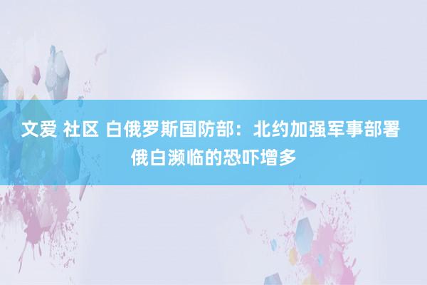 文爱 社区 白俄罗斯国防部：北约加强军事部署 俄白濒临的恐吓增多