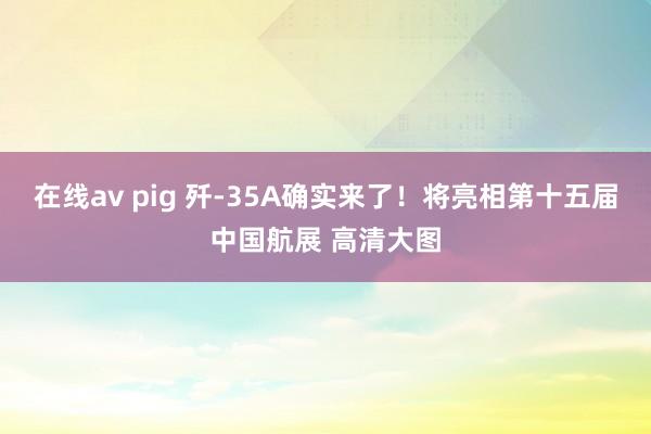 在线av pig 歼-35A确实来了！将亮相第十五届中国航展 高清大图