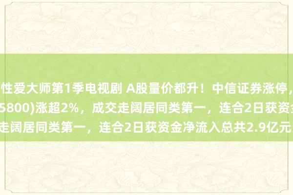 性爱大师第1季电视剧 A股量价都升！中信证券涨停，标杆宽基8