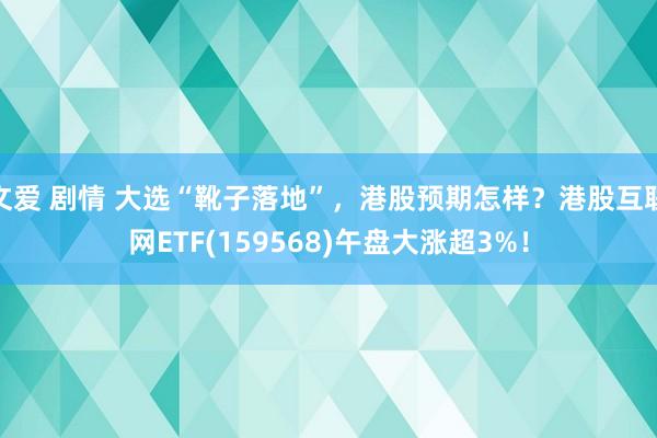 文爱 剧情 大选“靴子落地”，港股预期怎样？港股互联网ETF