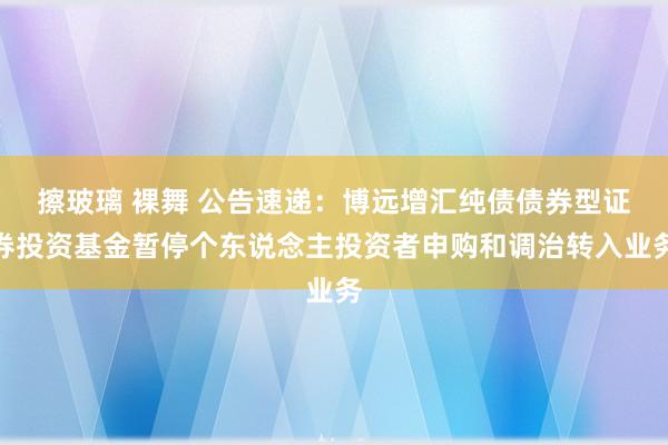 擦玻璃 裸舞 公告速递：博远增汇纯债债券型证券投资基金暂停个东说念主投资者申购和调治转入业务