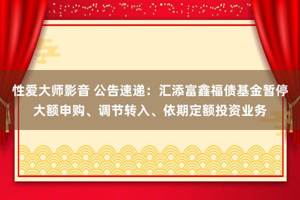 性爱大师影音 公告速递：汇添富鑫福债基金暂停大额申购、调节转入、依期定额投资业务