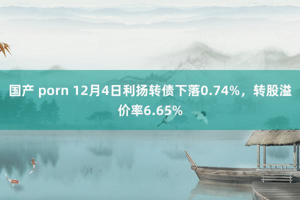 国产 porn 12月4日利扬转债下落0.74%，转股溢价率6.65%