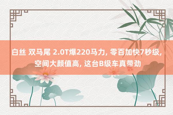 白丝 双马尾 2.0T爆220马力, 零百加快7秒级, 空间