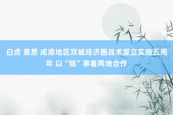 白虎 意思 成渝地区双城经济圈战术竖立实施五周年 以“链”事