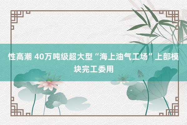 性高潮 40万吨级超大型“海上油气工场”上部模块完工委用