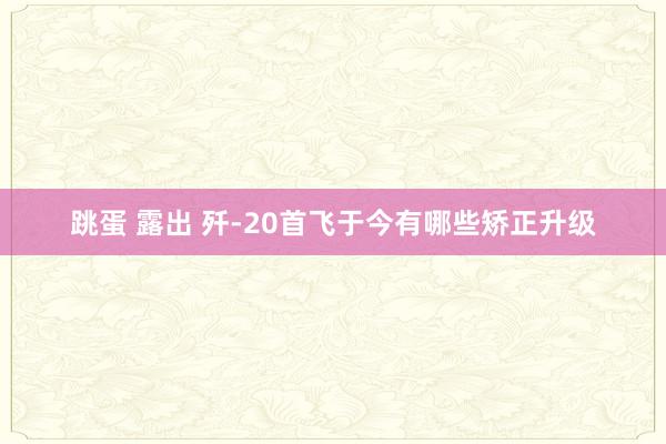 跳蛋 露出 歼-20首飞于今有哪些矫正升级