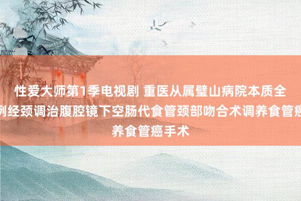 性爱大师第1季电视剧 重医从属璧山病院本质全院首例经颈调治腹腔镜下空肠代食管颈部吻合术调养食管癌手术