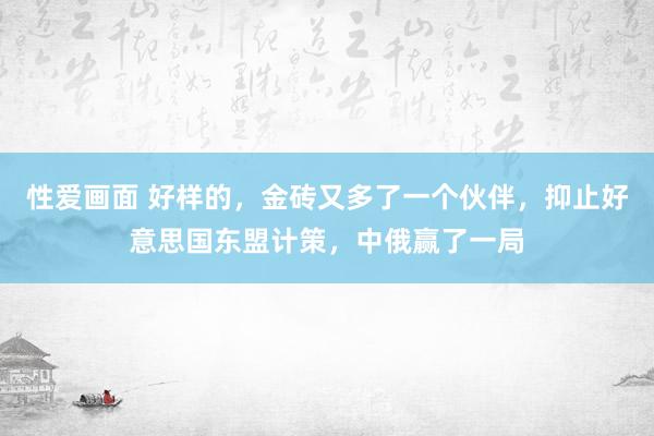 性爱画面 好样的，金砖又多了一个伙伴，抑止好意思国东盟计策，