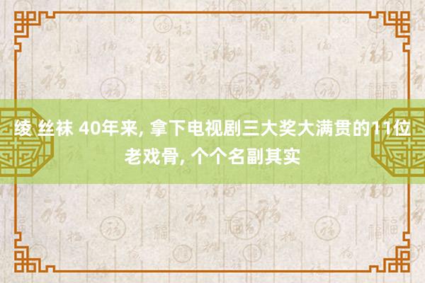 绫 丝袜 40年来, 拿下电视剧三大奖大满贯的11位老戏骨,